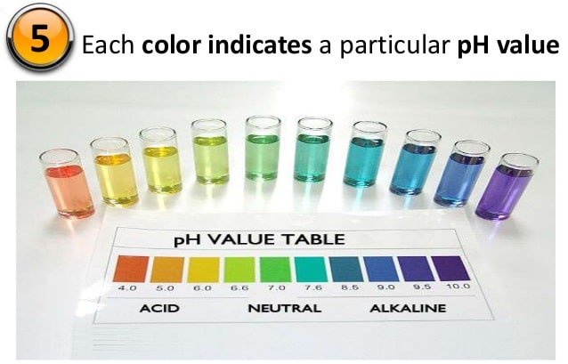 Ph Results Chart Bottled Water Tests